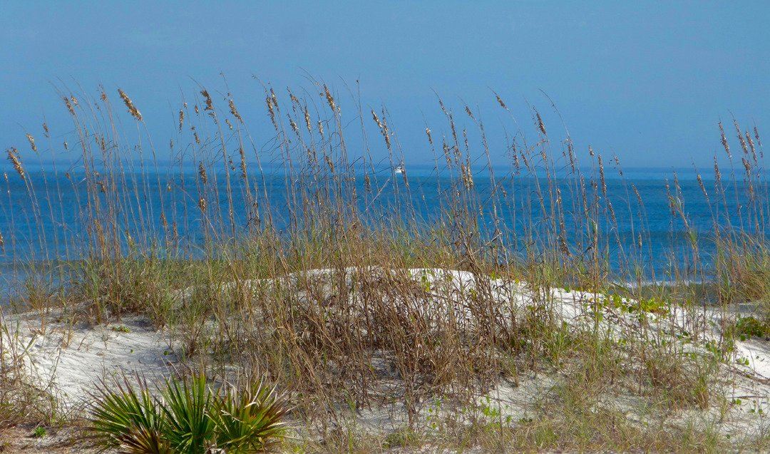 Smyrna Dunes Park