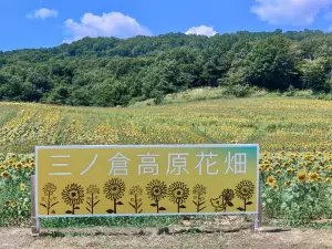 Sannokura