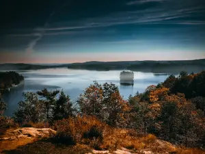Lions Lookout