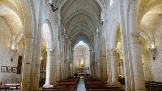 Parrocchia Basilica Collegiata Santo Sepolcro