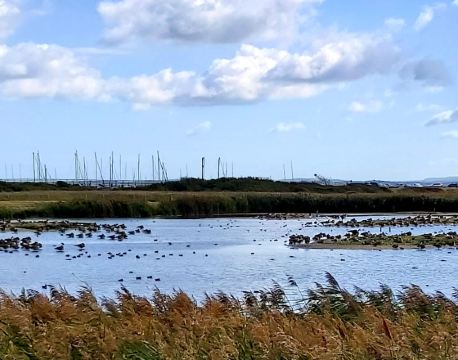 費勒姆 自由行套票