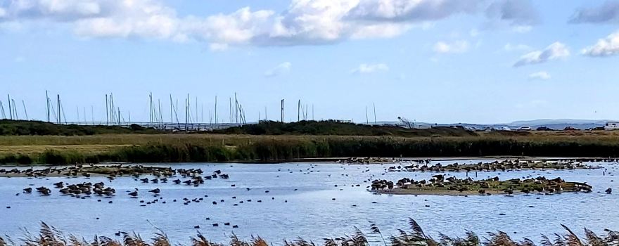 Titchfield Haven National Nature Reserve