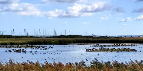 Titchfield Haven National Nature Reserve