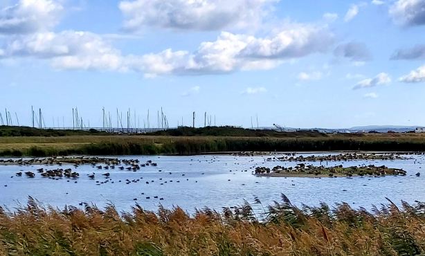 Titchfield Haven National Nature Reserve