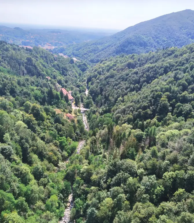 Veglio