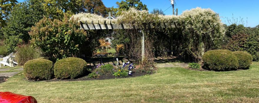Smith-Berry Vineyard & Winery