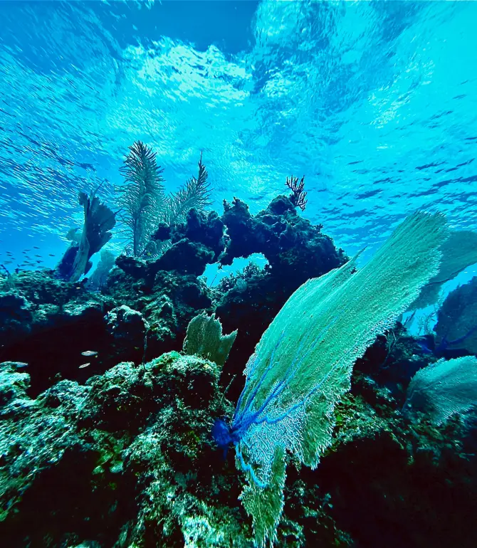 Cayman Brac