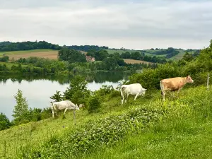Domaine du Bile