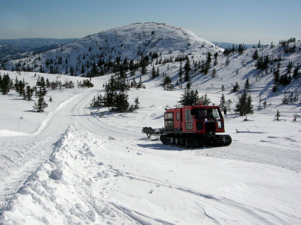 Lifjell
