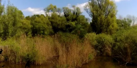 Oasi degli Stagni di Casale