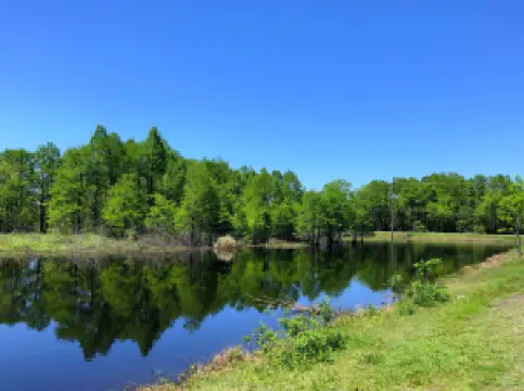Sheldon Lake State Park & Environmental Learning Center
