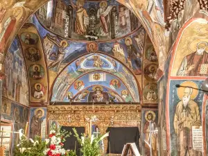 Panayia tou Araka