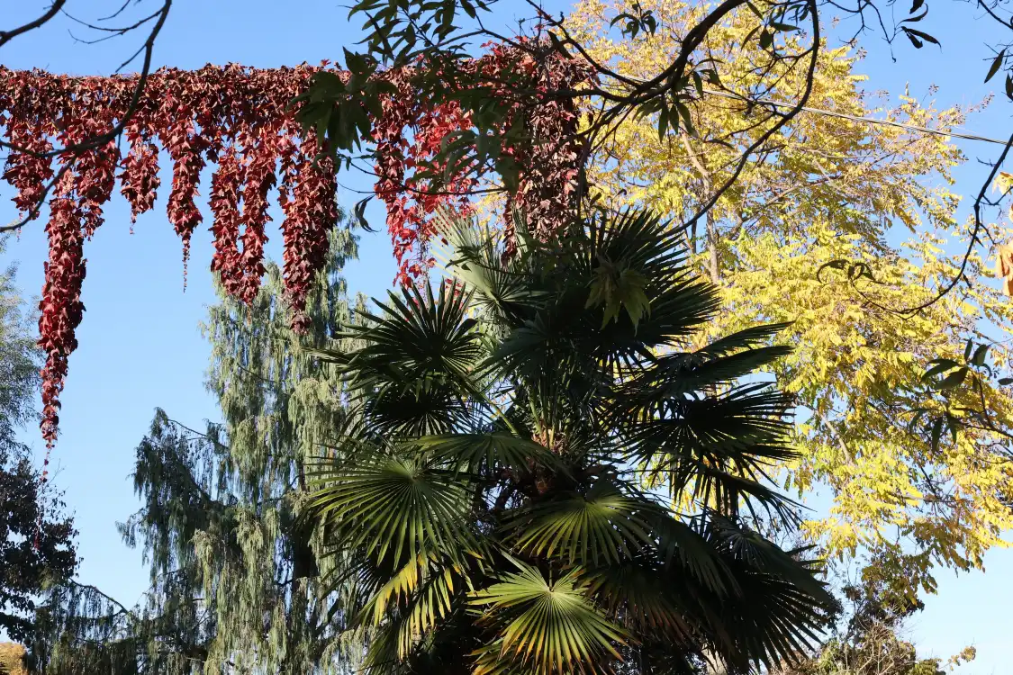 Các khách sạn gần Giardino Botanico di Villa Bricherasio