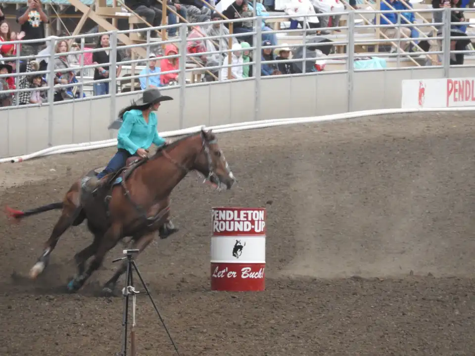 5_Pendleton Roundup Grandstand