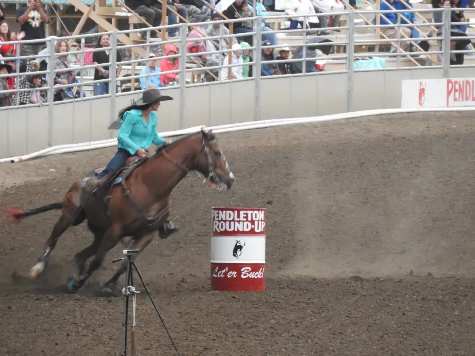 5_Pendleton Roundup Grandstand