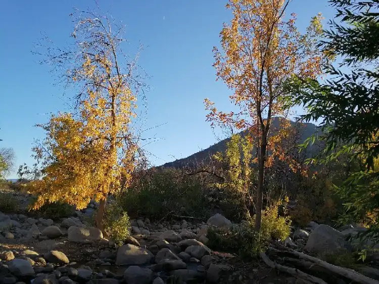 Kernville