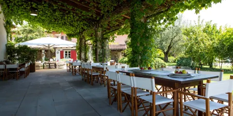 Azienda Agricola Borgo San Daniele