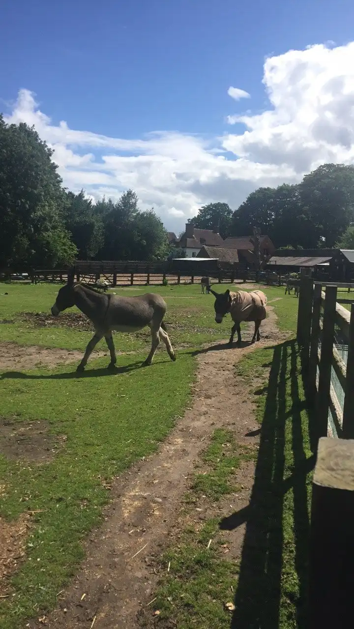 Hotels near The Donkey Sanctuary, Birmingham