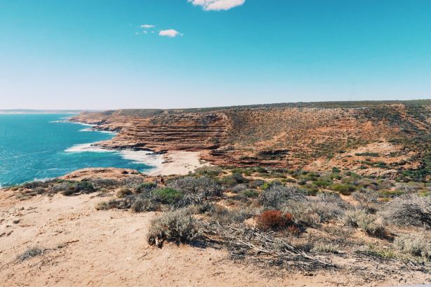 Eagle Gorge Lookout