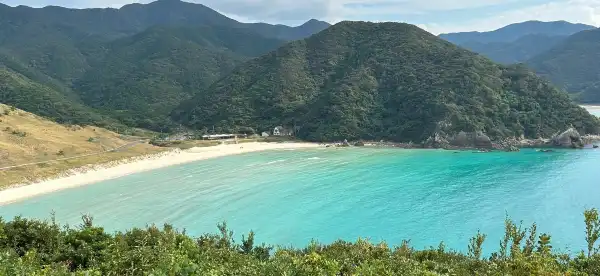 고토