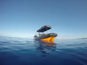 Tohora Bora Bora