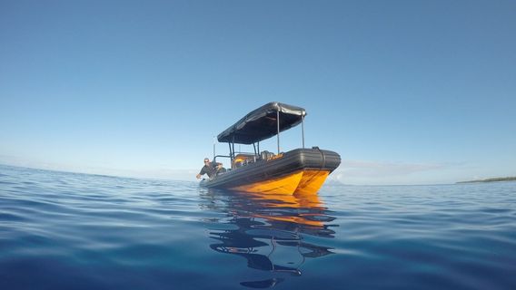Tohora Bora Bora