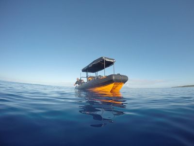 Tohora Bora Bora