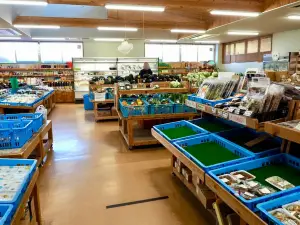 Michi-no-Eki Kinko Nishiki no Sato
