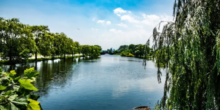 James Scott Memorial Fountain