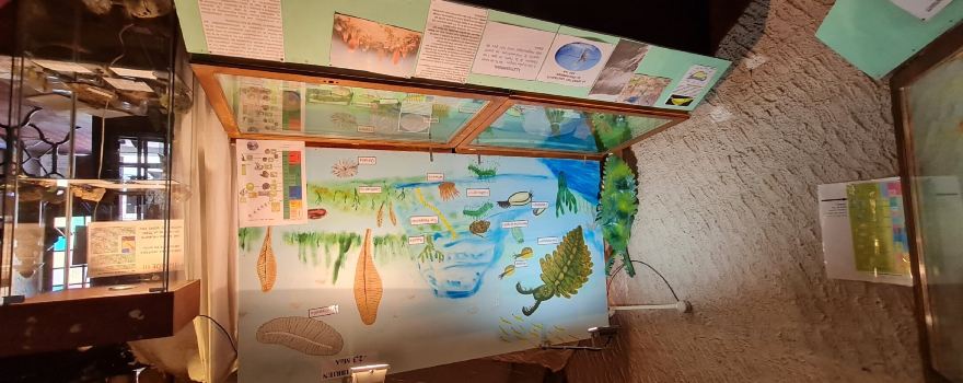 Musée Servaire