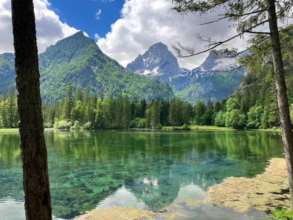 2_Schiederweiher