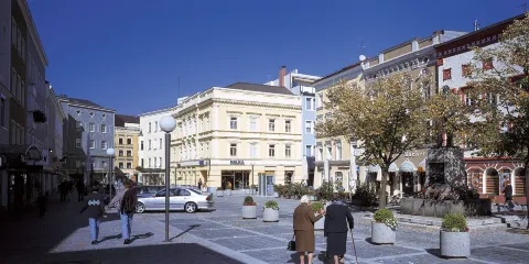 Stelzhamerplatz & Denkmal