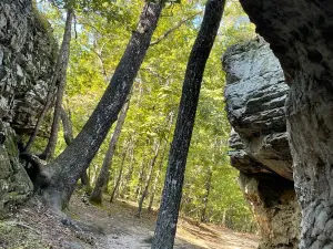 Bear Cave Trail