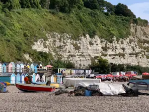 Beer Beach