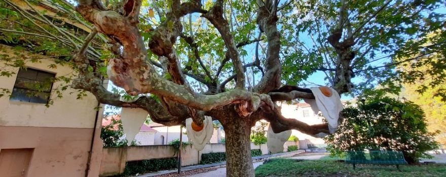 El Jardin Secreto