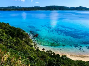 Diving shop Native Sea Amami