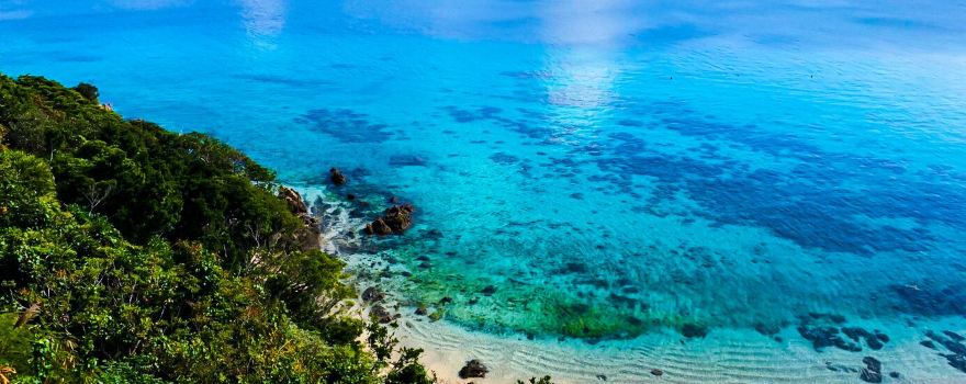 Diving shop Native Sea Amami