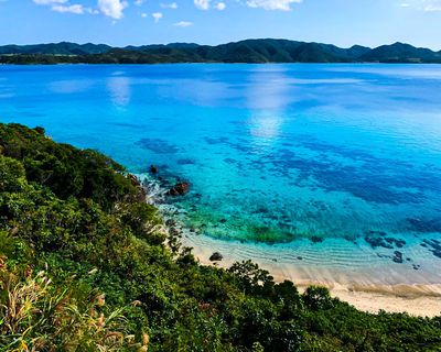 Diving shop Native Sea Amami