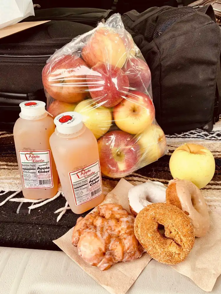 فنادق في Wilmington Township