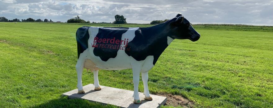 Delfstrahuizen