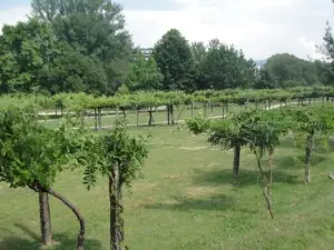 Parque da Cidade de Paredes