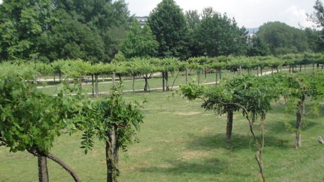 Parque da Cidade de Paredes