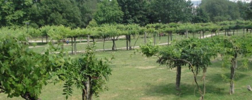 Parque da Cidade de Paredes