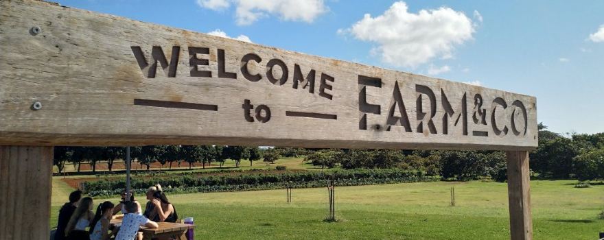 Farm & Co
