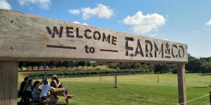 Farm & Co