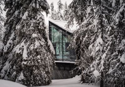 Magical Pond Igloos