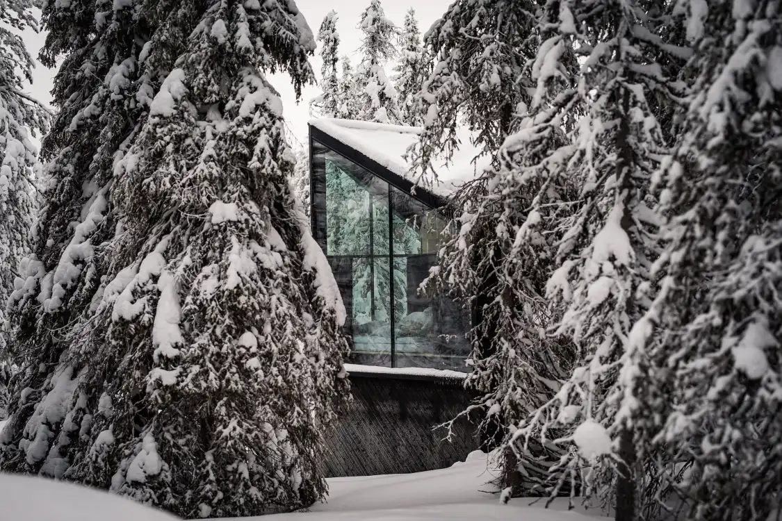 Hotels near Magical Pond Igloos