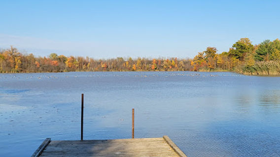 Lorne C. Henderson Conservation Area South Campground