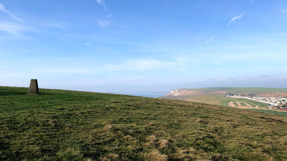 Hambury Tout