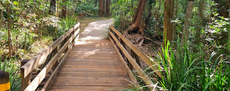 Cornubia Forest Park